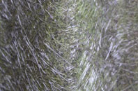 Heskin Green fibreglass roof work